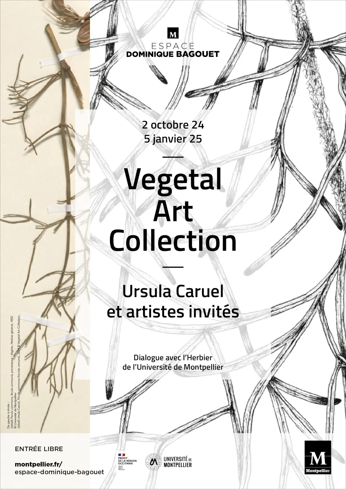 Détail de l'affiche de l'exposition "Vegetal Art Collection, Ursula Caruel et artistes invités. Dialogue avec l'Herbier de l'Université de Montpellier"